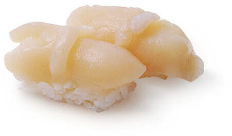 Scallop