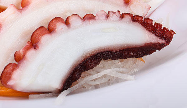 Octopus
